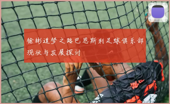 徐彬追梦之路巴恩斯利足球俱乐部现状与发展探讨